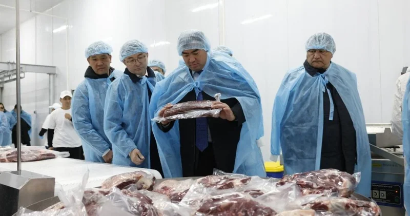 Алматы облысында ет өңдеу зауыты мен жаңа трассалық кешен ашылды