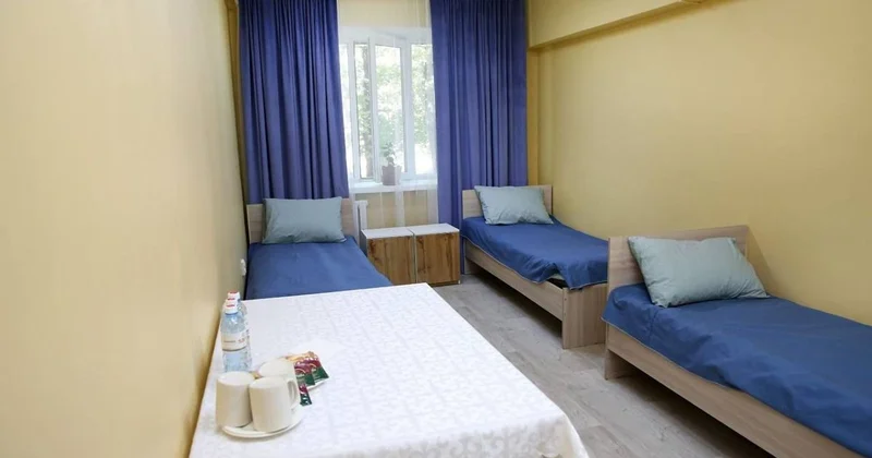 Алматыда дағдарыс орталықтарына биыл қанша адам жүгінді