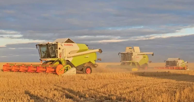 ЕАЭО аясында агроөнеркәсіпті дамыту мәселелері талқыланды