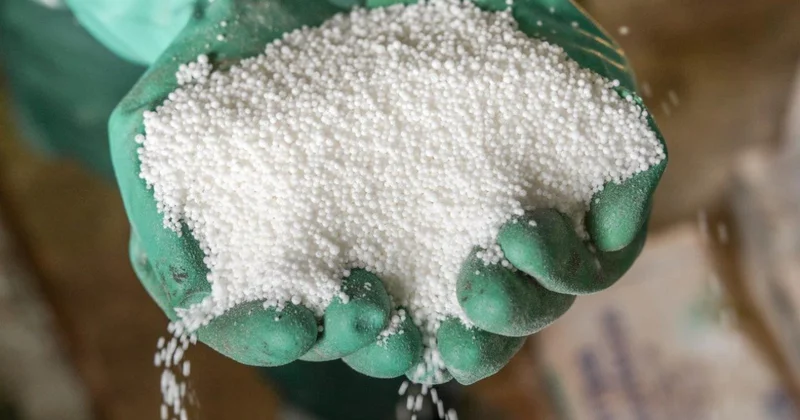 Дақылға қажет қорек карбамид