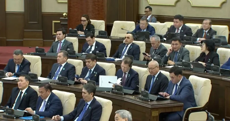 Депутат аудан әкімдерін сайлауға мораторий жариялауды ұсынды