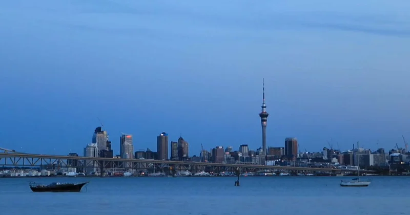 Жаңа Зеландия жабайы мысықтарды толық жоймақ