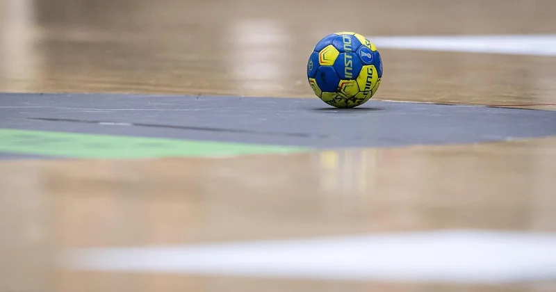 Сборная Казахстана с поражения от Анголы стартовала на чемпионате мира по гандболу