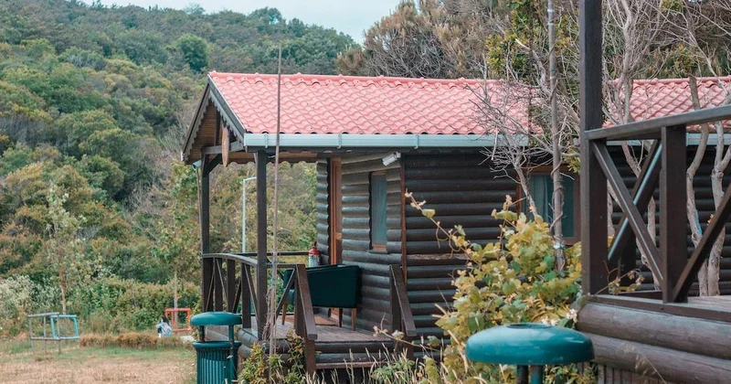 Когда решат проблемы дач в Алматинской области, рассказали в акимате