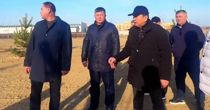 Чтоб не засохли в пути