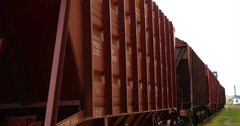 Скопление вагонов с казахстанским зерном на границе: эксперт объяснил причину
