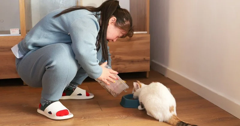 Мурлыкающий метрдотель и прыгучие хвостес