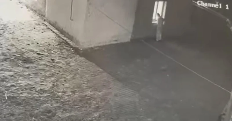 Снимал трусы, заглядывая в окна: впервые мужчину осудили за сталкинг в Атырауской области