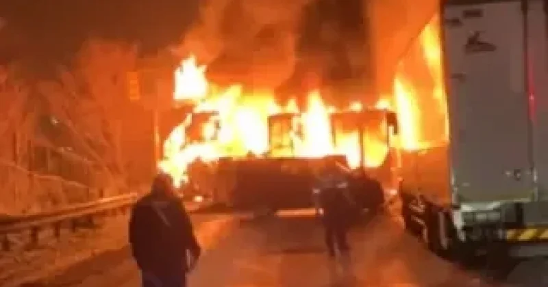 Жапониядағы жаппай жол апаты: 56 көлік соқтығысып, өрт шықты