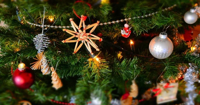 Казахстанцев призвали быть бдительными при онлайн покупках новогодних подарков и елок