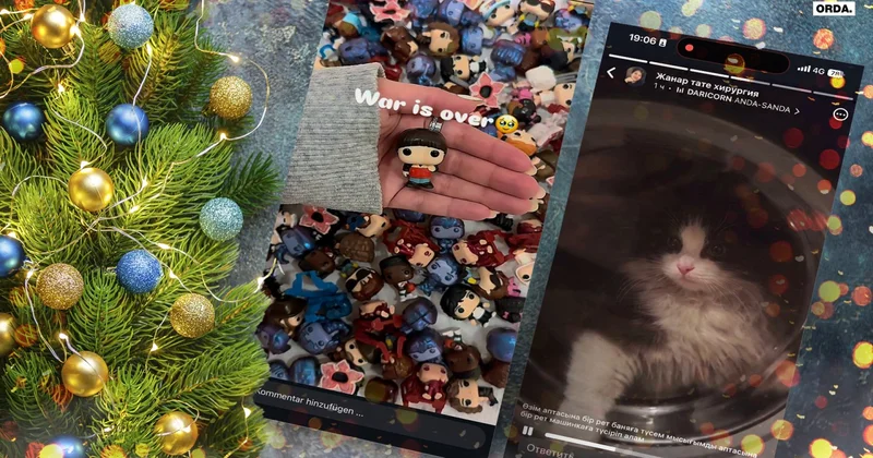 Как кота засунули в стиралку и почему скупали яйца Kinder: предновогодний сюр из соцсетей