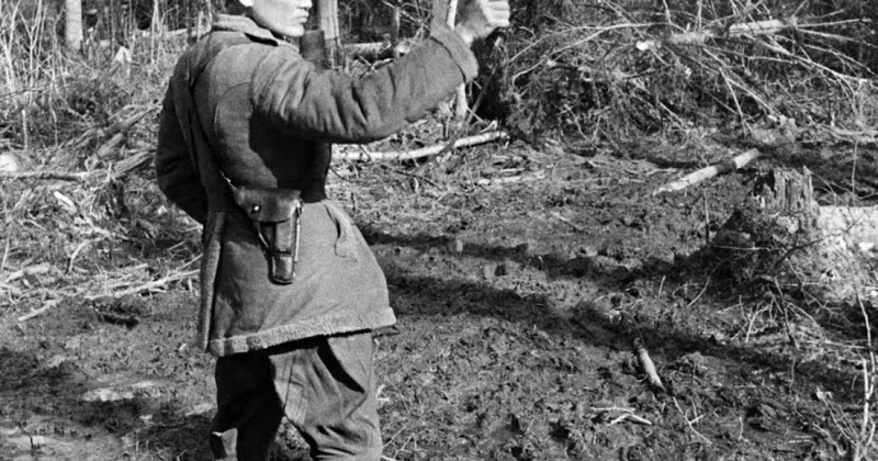 Бывают книги, написанные типографской краской, бывают написанные кровью