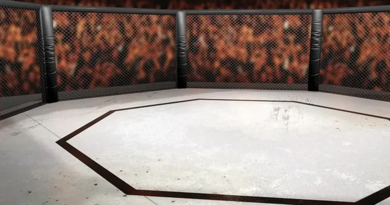 Раскрыто имя следующего бойца UFC из Казахстана