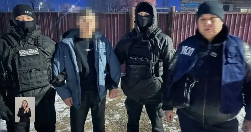 Саксаул вырубали в заповеднике в Кызылординской области: в деле фигурируют инспекторы