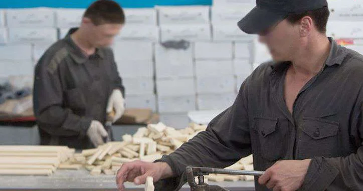 Труд важнейший элемент ресоциализации