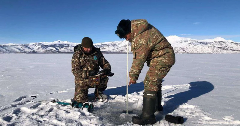 У защитников природы всегда много дел