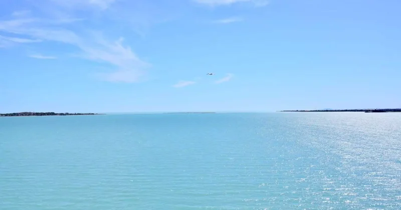 Балқаш көлінде 100 келіден астам балықты заңсыз аулаған жамбылдық сотталды