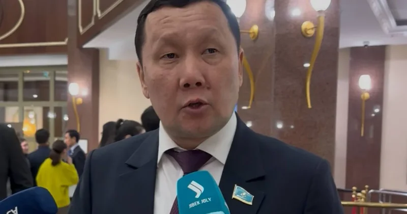 Депутат назвал южные регионы Казахстана иждивенцами