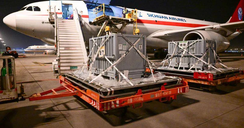 Две большие панды вернулись из Японии в Китай