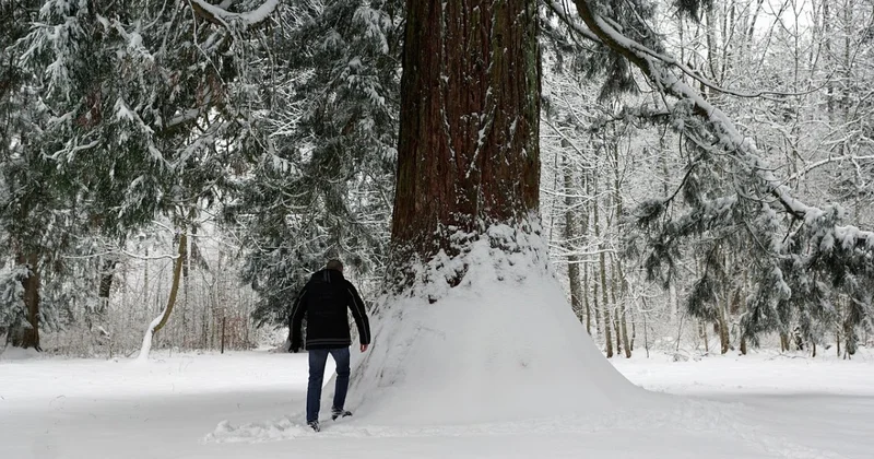 Как гулять по снегу безопасно и с пользой для здоровья
