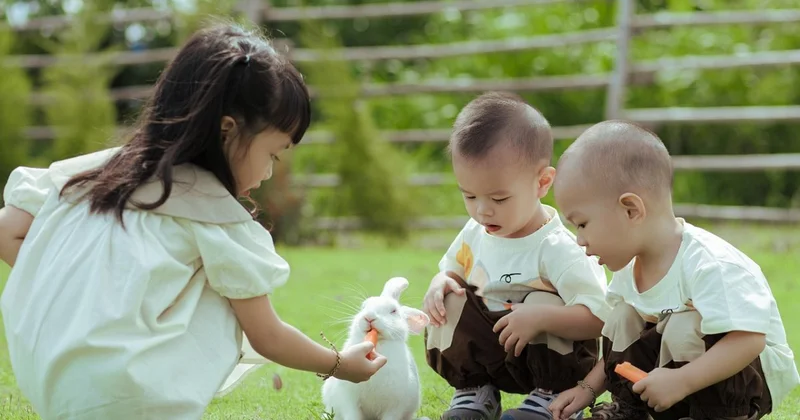 Программа Дети Казахстана предусматривает вовлечение и ответственность всех секторов ООН