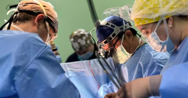 Қазақстанда қайтыс болған соң донор болуға келіскендер саны 70% ке өсті