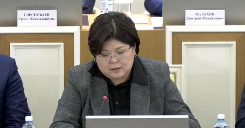 Ата Заң мәтінінің 84 пайызы өзгеруі мүмкін