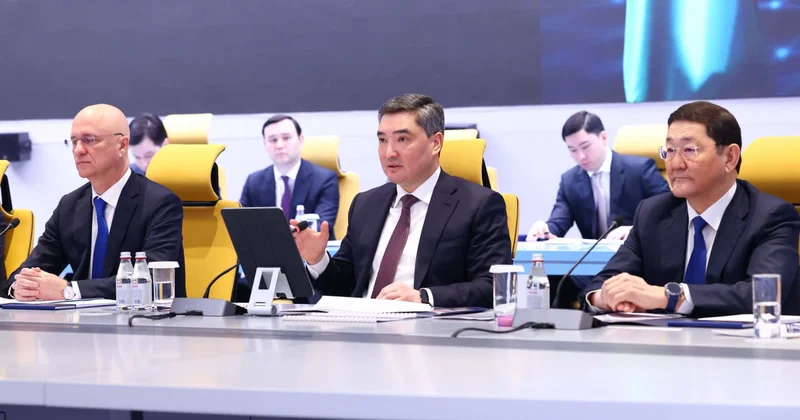 Инвестиция бюрократияның кесірінен тартылмай тұр​: премьер министр шенеуніктерді сынға алды