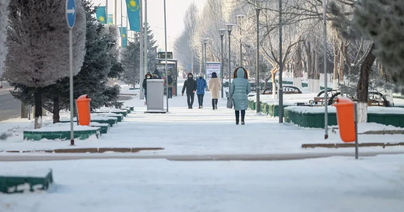 Түкірігін ішкізеді : депутат адамды қорлайтын тренингтерді тоқтатуды талап етті