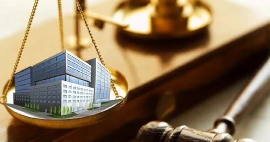 Провести шоковую терапию для квазигоссектора предлагает мажилисмен