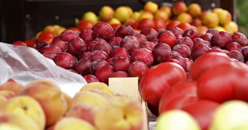 Сельхозпродукция от фермеров: астанчан приглашают на очередную ярмарку выходного дня