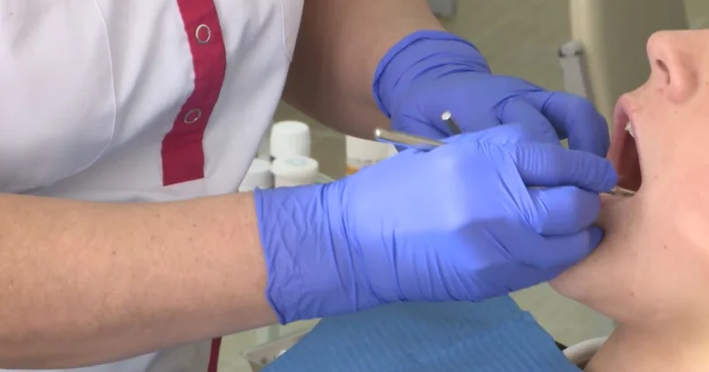 Елде е Densaulyq цифрлық экожүйесі қалыптасты