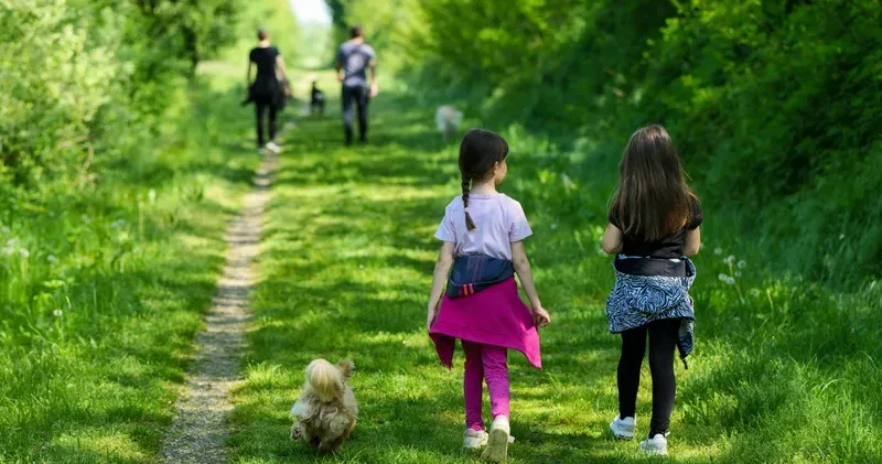 Конституцияда неке мен отбасы құндылықтары, қоршаған ортаны қорғау міндеті күшейтілетін болады