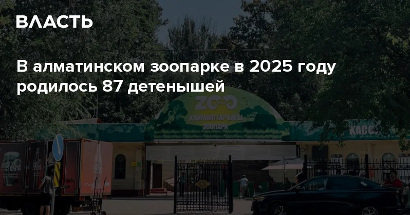 В алматинском зоопарке в 2025 году родилось 87 детенышей Аналитический интернет журнал Власть