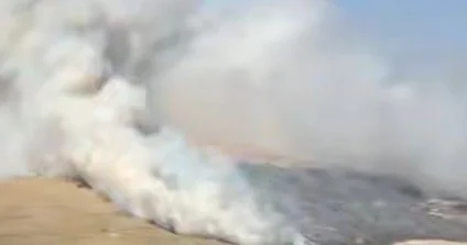 Атырауда теңіз жағасындағы қамыс өртеніп жатыр