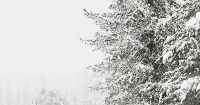 Қазақстанда көктемнің алғашқы күнінде қатты аяз сақталып, күн суық болатыны болжанады