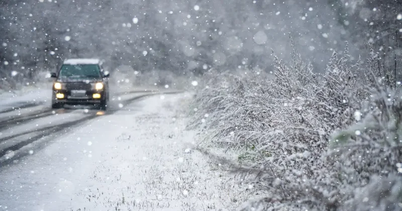 Какие трассы закрыли в Казахстане до утра 1 марта