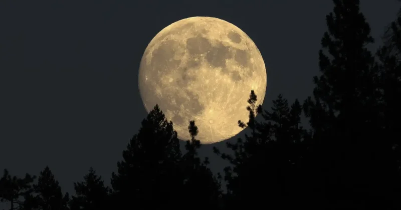 В NASA перенесли высадку астронавтов на Луну на 2028 год