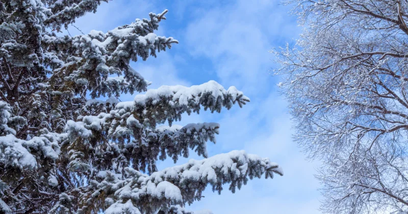 Қазгидромет 28 ақпанға арналған ауа райы болжамын ұсынды