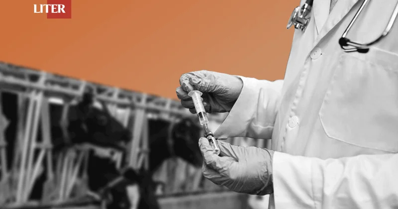 Мужчина заболел сибирской язвой в Шымкенте