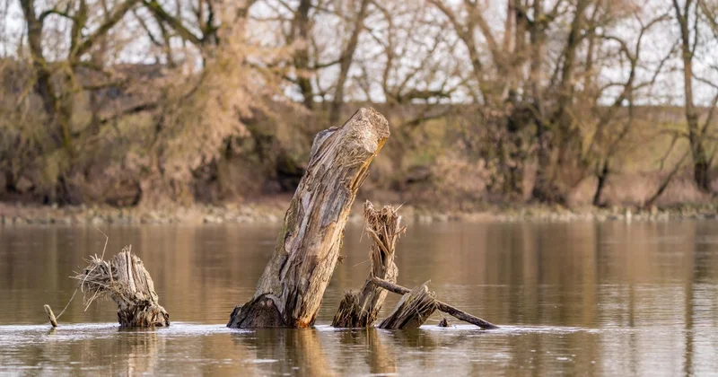 Поиски утонувшего ребенка продолжаются в Туркестанской области