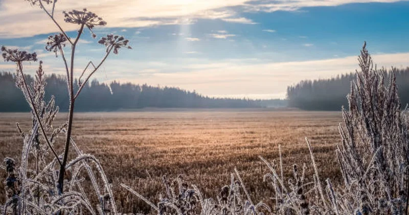 Бүгін Қазақстанның басым бөлігінде жауын шашынсыз ауа райы күтіледі