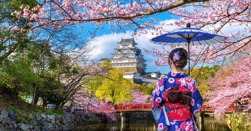 Жапонияның азаматтығын алу үшін елде тұру мерзімі екі есеге артты