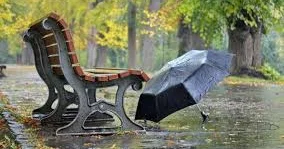 Ертең елімізде тұман түсіп, жаңбыр жауады