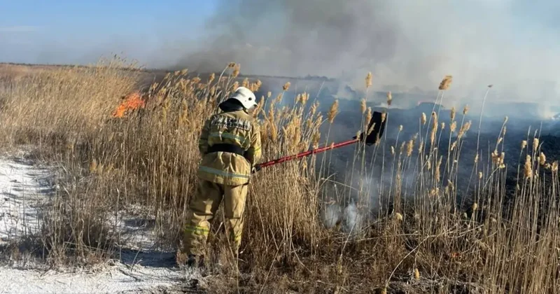 Камыш загорелся вблизи аквапарка в Конаеве