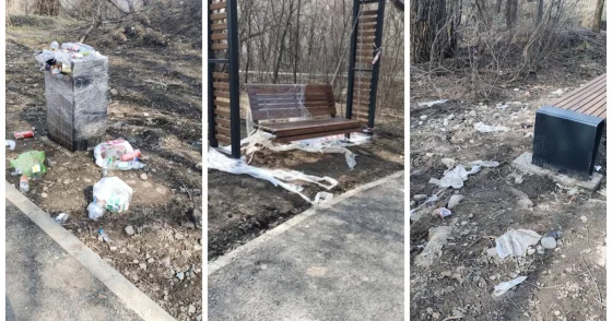 Утопает в мусоре : от акима Алматы требуют навести порядок в роще Баума