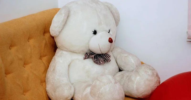 Жанұя меняет судьбы