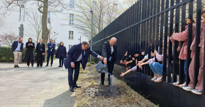 Тюльпаны из Казахстана высадили в Берлине