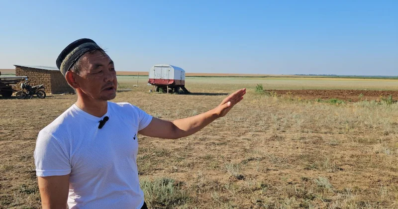 Жүйелі жұмыс: заңсыз алынған жер қайтарылды