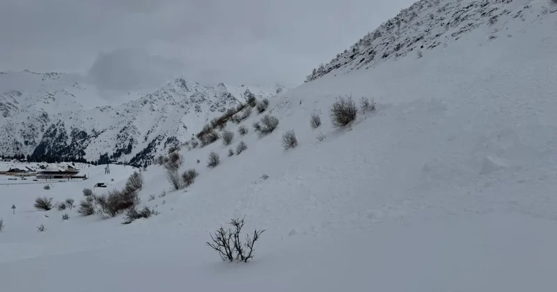 В шести регионах Казахстана сохраняется лавинная опасность МЧС